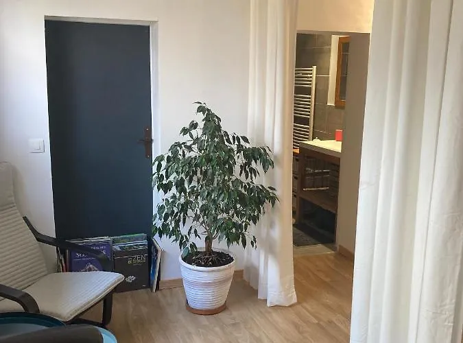 Guest house Mas Paradiso 4*